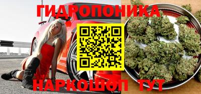 гидра Заволжье