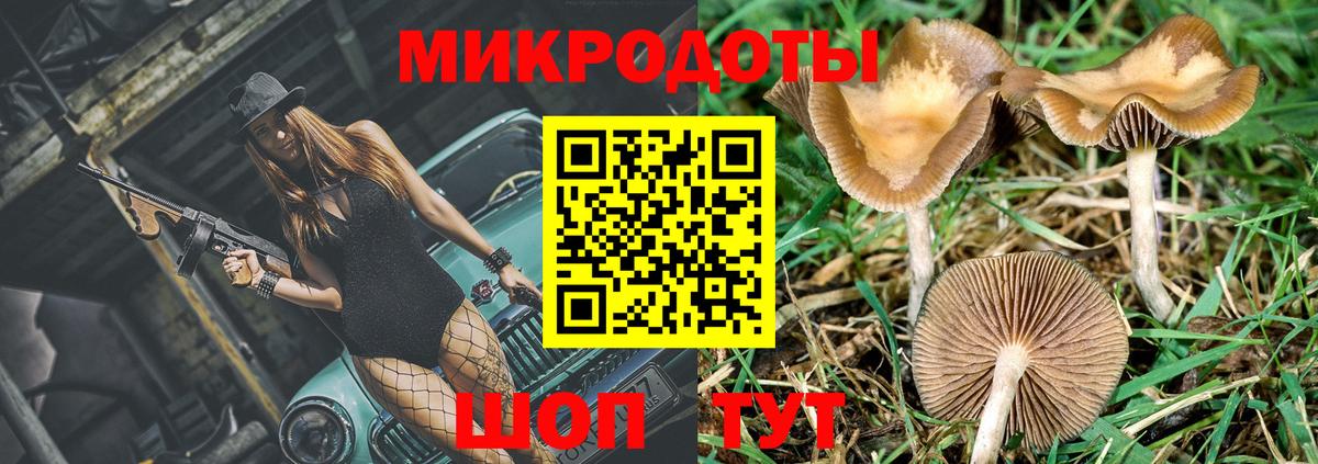 купить  цена  Вход с VPN  Лабинск  Галлюциногенные грибы Psilocybe 