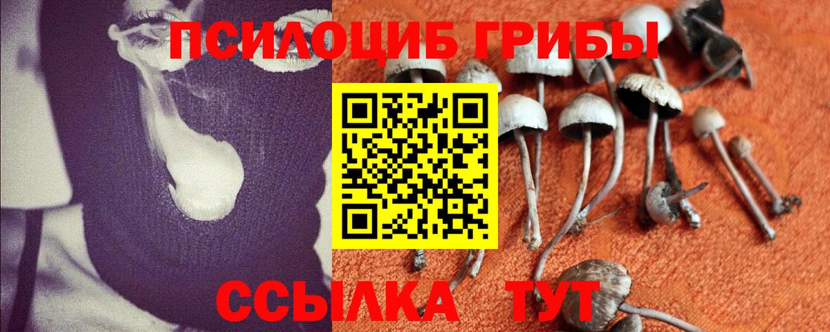 Псилоцибиновые грибы GOLDEN TEACHER Лабинск
